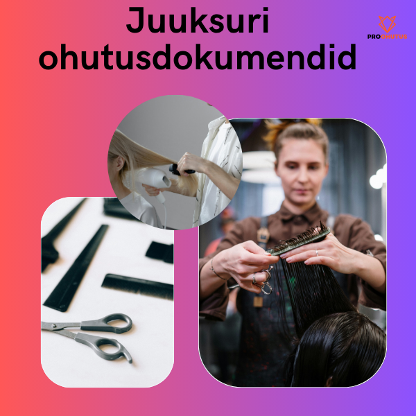 KPL916 Juuksuri ohutusdokumendid