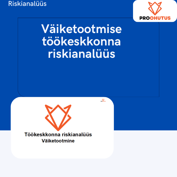 Väiketootmise töökeskkonna riskianalüüs
